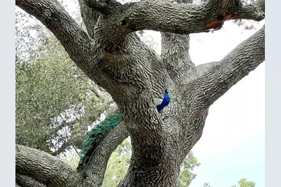 1518 County Road 307, El Campo, TX 77437 - Photo 33