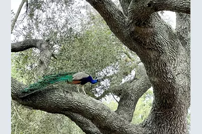 1518 County Road 307, El Campo, TX 77437 - Photo 41