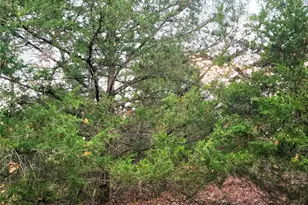 0 Mallard Way, LaRue, TX 75770 - Photo 19