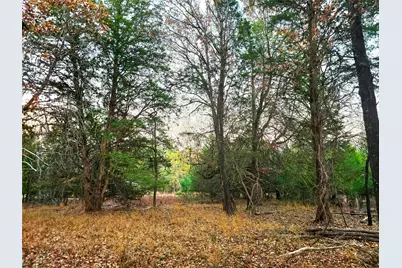 0 Mallard Way, LaRue, TX 75770 - Photo 3