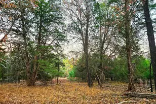 0 Mallard Way, LaRue, TX 75770 - Photo 3