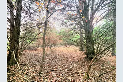 0 Mallard Way, LaRue, TX 75770 - Photo 7