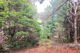 0 Mallard Way, LaRue, TX 75770 - Photo 9