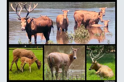 0 Mallard Way, LaRue, TX 75770 - Photo 39