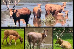 0 Mallard Way, LaRue, TX 75770 - Photo 39