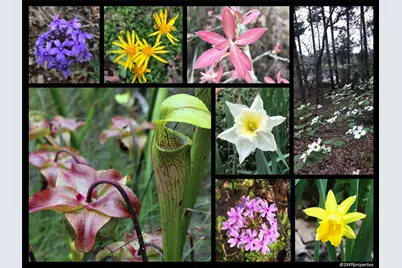 0 Mallard Way, LaRue, TX 75770 - Photo 41