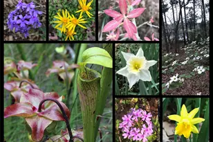 0 Mallard Way, LaRue, TX 75770 - Photo 41