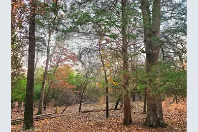 0 Mallard Way, LaRue, TX 75770 - Photo 11