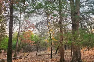 0 Mallard Way, LaRue, TX 75770 - Photo 11