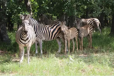 0 Mallard Way, LaRue, TX 75770 - Photo 27