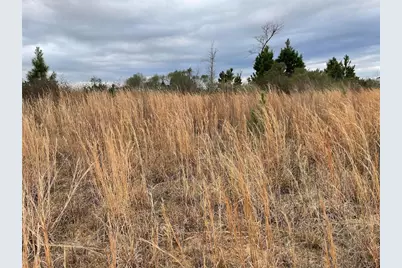 61 Road 5118, Cleveland, TX 77327 - Photo 7