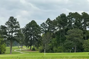 50 Westlake W, Trinity, TX 75862 - Photo 21