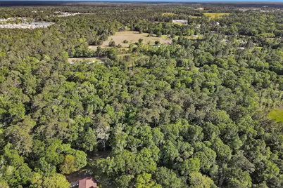 15711 Tree Monkey Rd, Conroe, TX 77303 - Photo 7