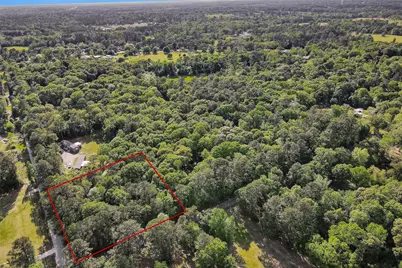 15711 Tree Monkey Rd, Conroe, TX 77303 - Photo 1