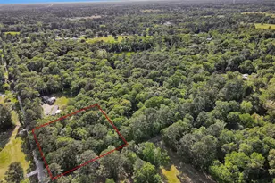 15711 Tree Monkey Rd, Conroe, TX 77303 - Photo 1