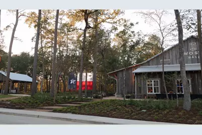 11535 Dosey Doe Drive, Montgomery, TX 77316 - Photo 13