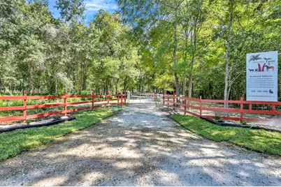 26768A Dobbin Huffsmith Rd Road, Magnolia, TX 77354 - Photo 3