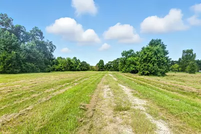 19375 Highway 321, Cleveland, TX 77327 - Photo 11
