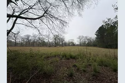 Tbd Skylane Dr, Montgomery, TX 77356 - Photo 3