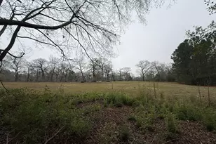 Tbd Skylane Dr, Montgomery, TX 77356 - Photo 3