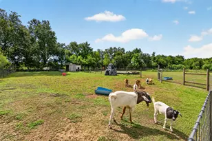 4933 1/2 Powers Ln, Alvin, TX 77511 - Photo 25