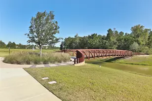 177 Emory Birch Dr, Montgomery, TX 77316 - Photo 39