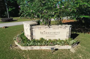 177 Emory Birch Dr, Montgomery, TX 77316 - Photo 45