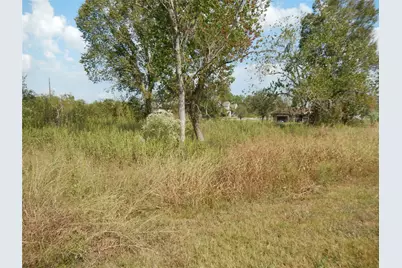 0 Rice Ave Avenue, Arcola, TX 77583 - Photo 9