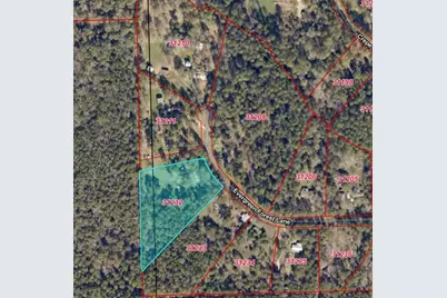 4542 Evergreen Forest Lane, Navasota, TX 77868 - Photo 9