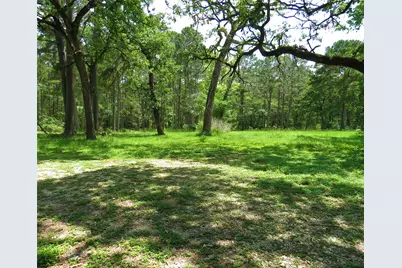 4542 Evergreen Forest Lane, Navasota, TX 77868 - Photo 5