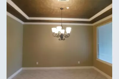 4333 Lake Run Drive, Missouri City, TX 77459 - Photo 9