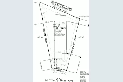 26703 Celestial Cypress Road, Hockley, TX 77447 - Photo 15