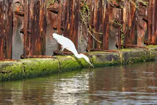 2028 County Rd 201, Sargent, TX 77414 - Photo 5