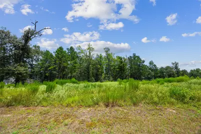 7170 Morningbrook Drive, Montgomery, TX 77316 - Photo 13