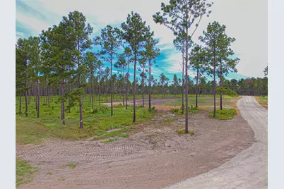 0011 Nelson Dr, Livingston, TX 77351 - Photo 1