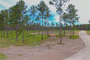 0011 Nelson Dr, Livingston, TX 77351 - Photo 1