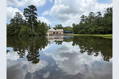 43 S Lace Arbor Drive, The Woodlands, TX 77382 - Photo 23