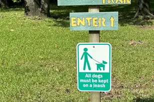 40 Dartmoor Ct, Coldspring, TX 77331 - Photo 29