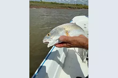 2252 County Road 201, Sargent, TX 77414 - Photo 15