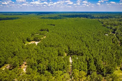 5633 Duff Road, Livingston, TX 77351 - Photo 21