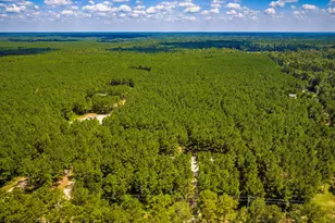 5633 Duff Rd, Livingston, TX 77351 - Photo 21