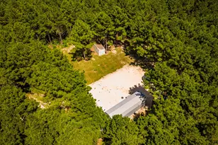 5633 Duff Rd, Livingston, TX 77351 - Photo 17