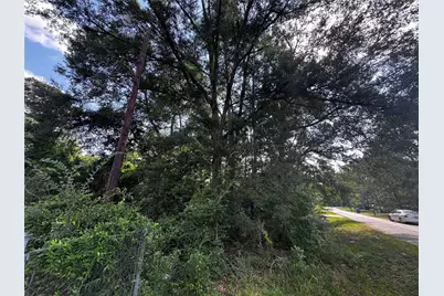 17625 Spanish Oak, Conroe, TX 77306 - Photo 9