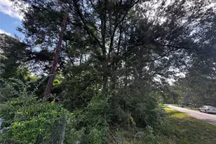 17625 Spanish Oak, Conroe, TX 77306 - Photo 9