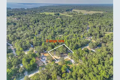 767 Windwood Drive, Livingston, TX 77351 - Photo 27