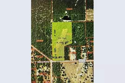 000 County Road 302, Plantersville, TX 77363 - Photo 3