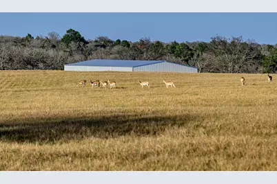 6785 Jones Orchard Road, Hearne, TX 77859 - Photo 23