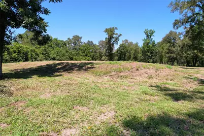 15338 Tierra Grande Drive, Needville, TX 77461 - Photo 19