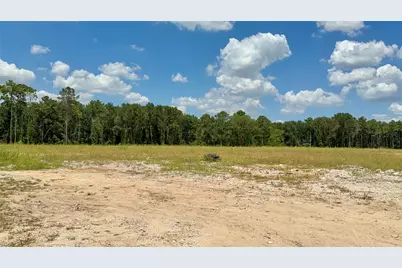 8211 Little York Road, Houston, TX 77016 - Photo 11