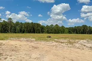 8211 Little York Rd, Houston, TX 77016 - Photo 11